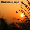 About Water Company Sounds Song